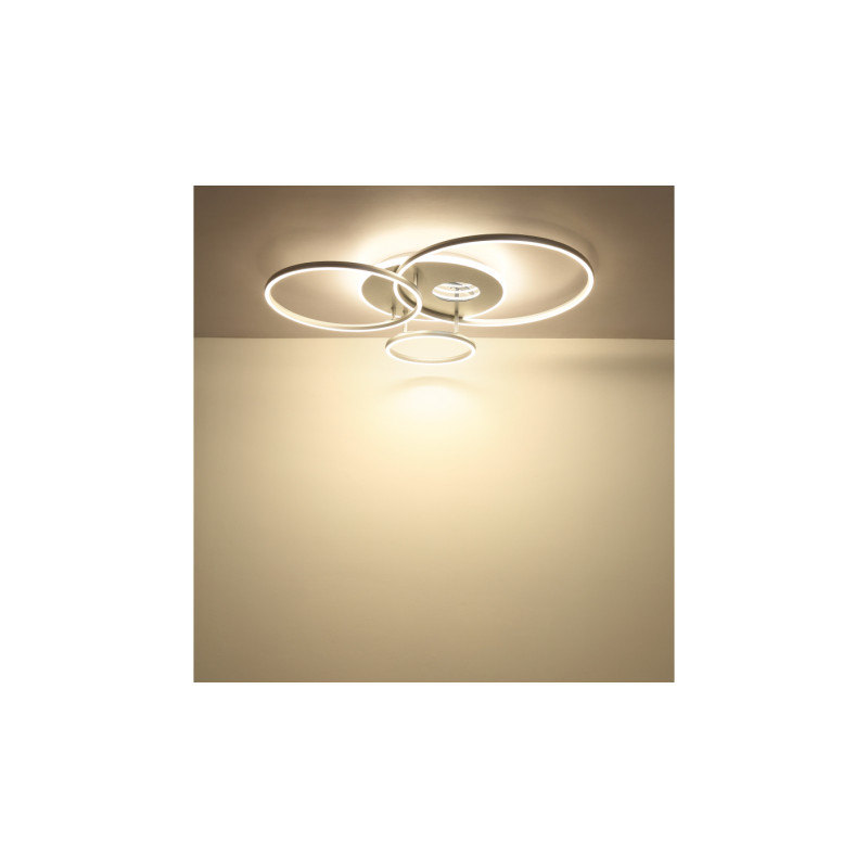 Globo 48466-54A