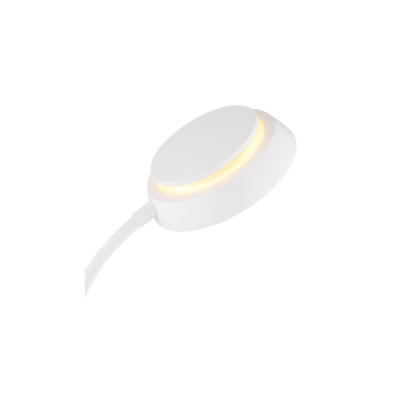 Globo 58496W