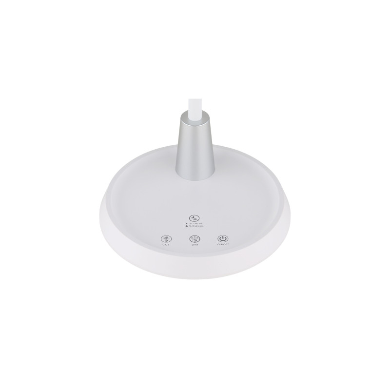 Globo 58496W