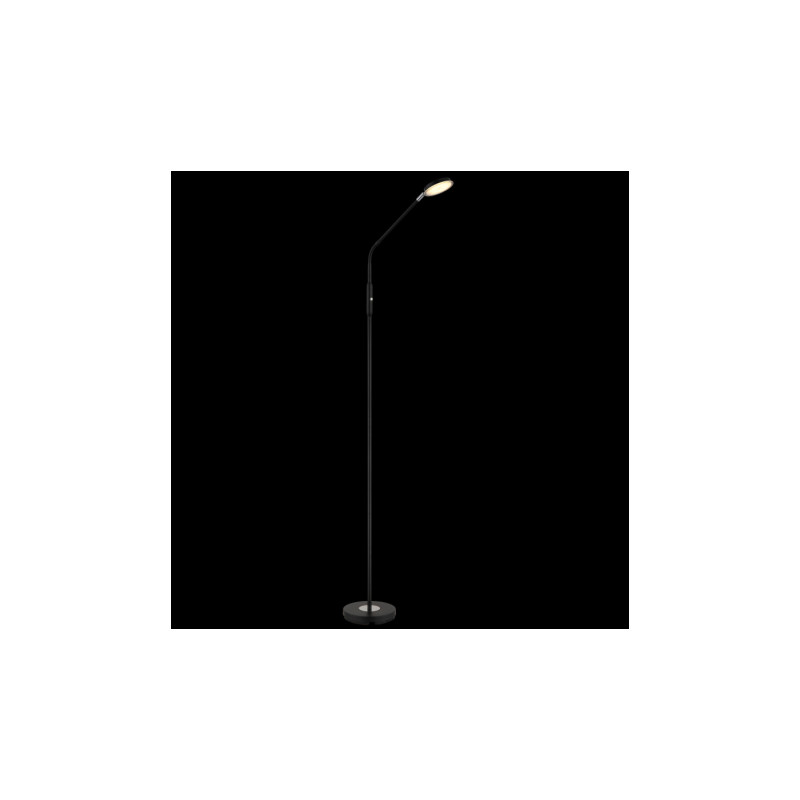 Globo 58504SS