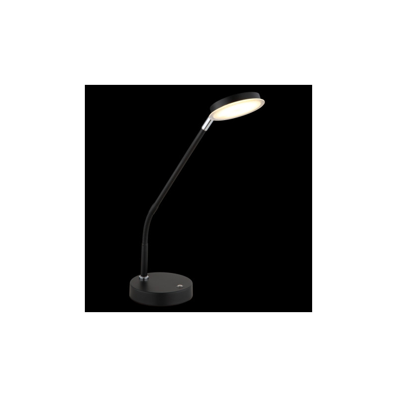 Globo 58504TS