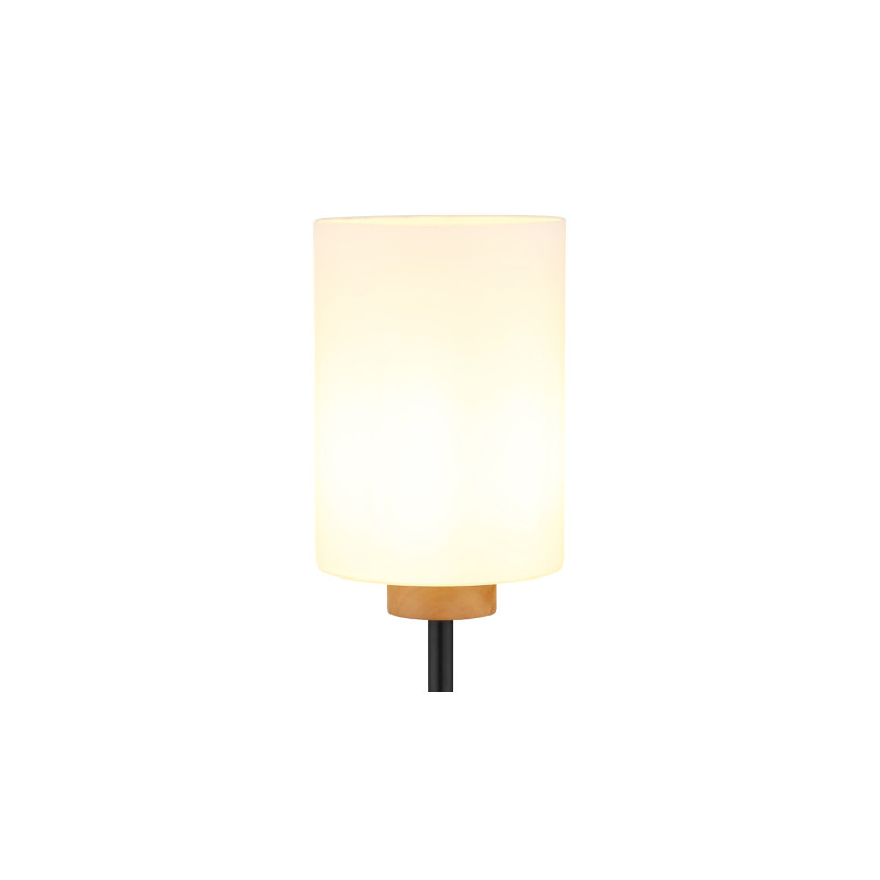 Globo 15977S