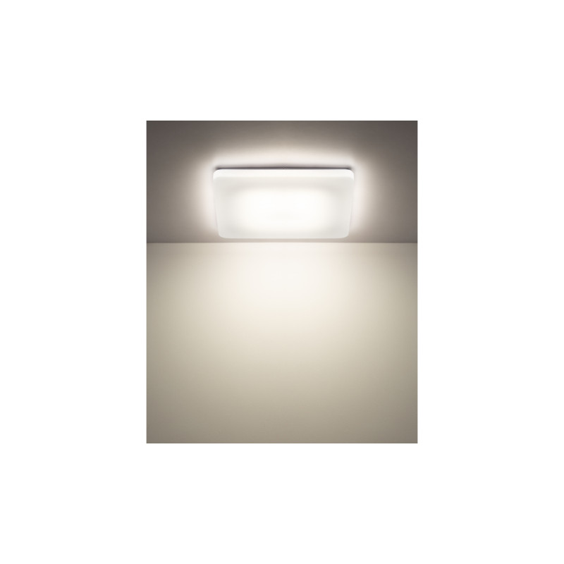 Globo 41548-24