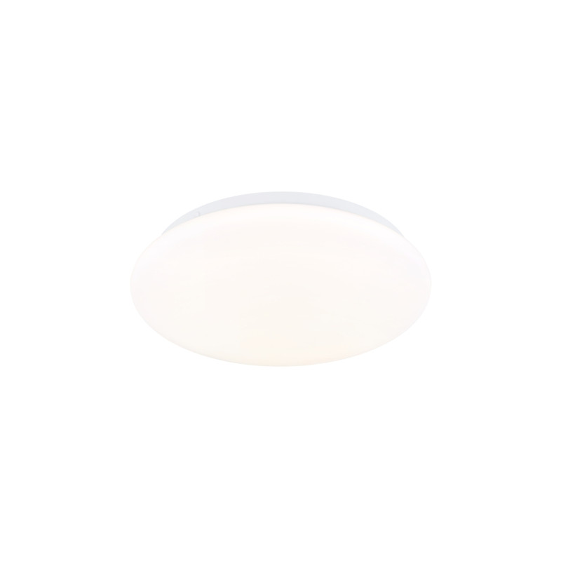 Globo 41548R-12