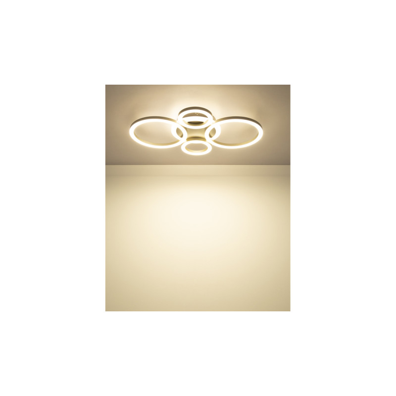 Globo 48039-40CO