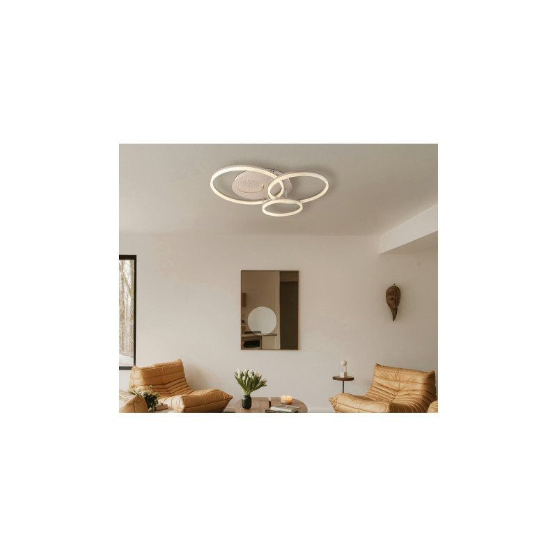 Globo 48480-40