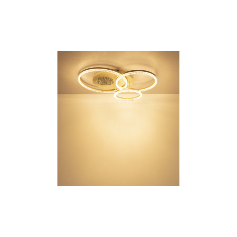 Globo 48480-40