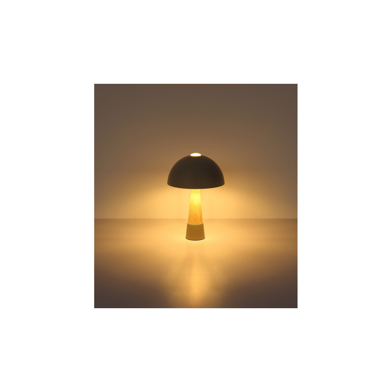 Globo 51070110