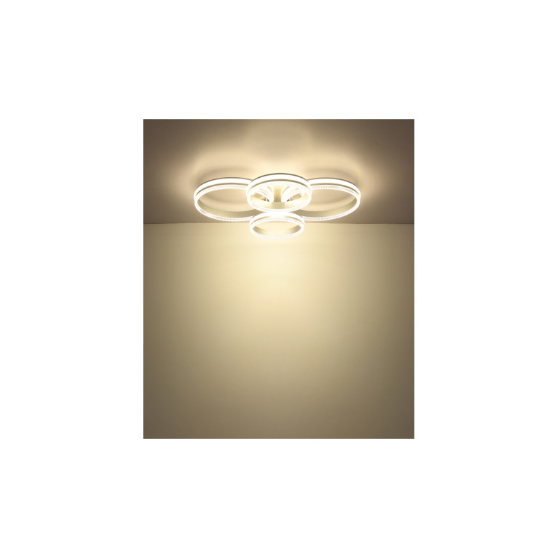 Globo 67377-90
