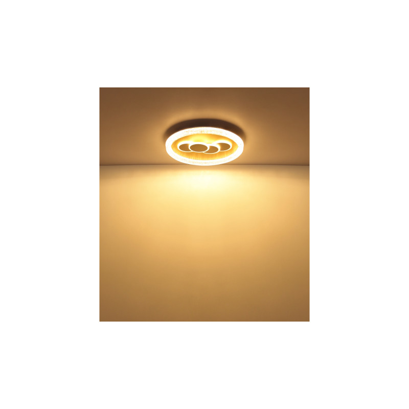 Globo 48476-40R