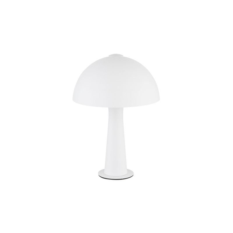 Globo 50670107