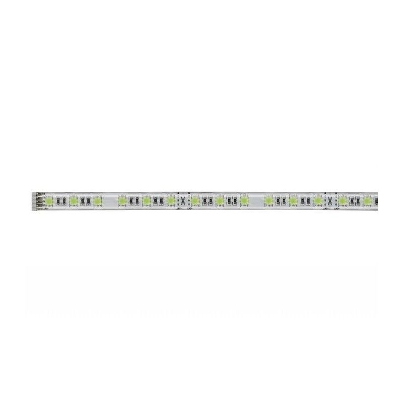 MaxLED RGBW - pásek izolovaný 1m 12W, funkce výměny barev 706.34 - PAULMANN