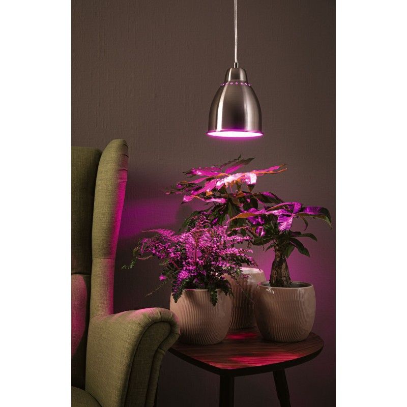 Závěsné svítidlo Neordic Hilla 1-ramenné pro osvětlení rostlin kov kartáčovaný bez zdroje světla max. 40W E27 - PAULM