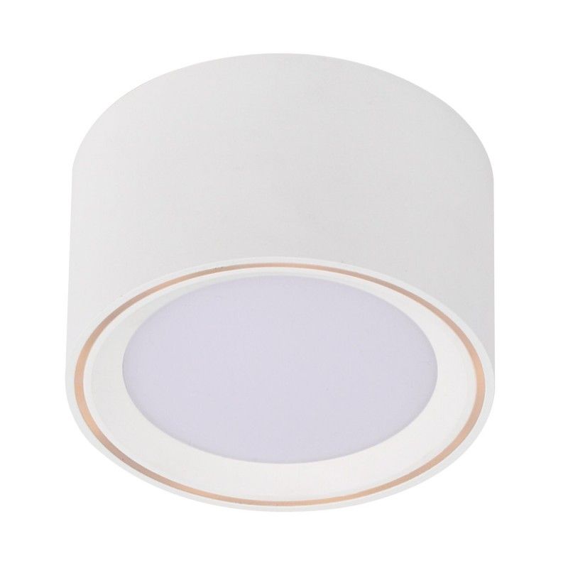 Nordlux Fallon LED osvetlenie na stenu / strop  LED  pevne zabudované LED osvetlenie 5.5 W  teplá biela biela