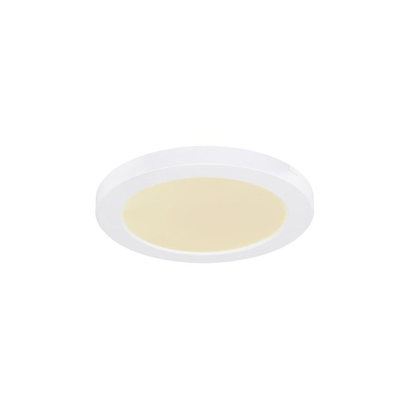 GLOBO stropné svietidlo LED 12379-18W