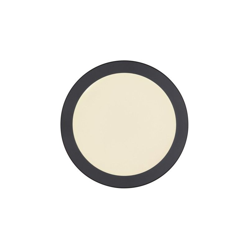 GLOBO stropné svietidlo LED 12379-24B