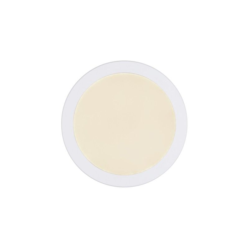 GLOBO stropné svietidlo LED 12379-24W