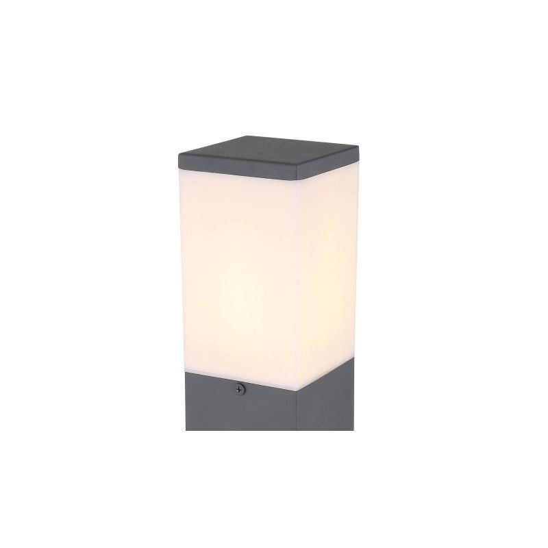 Globo 31731