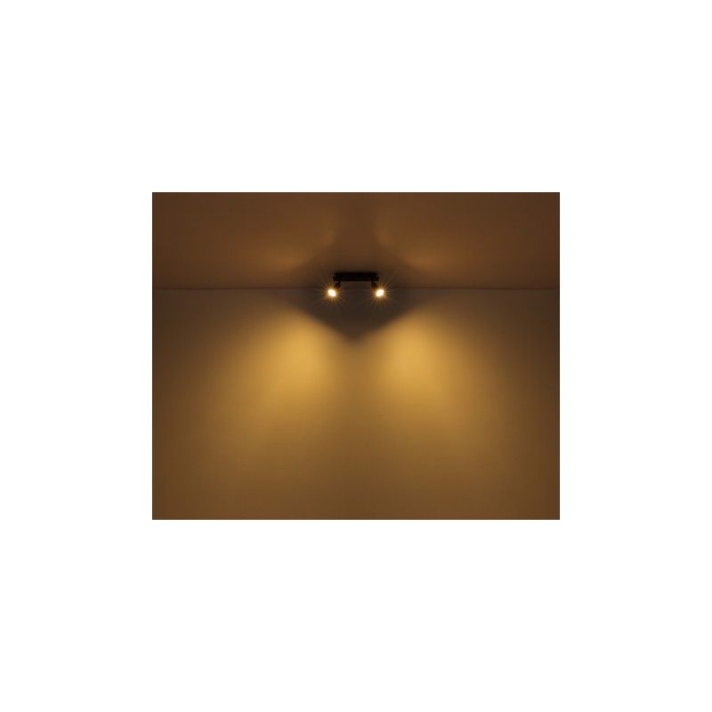 Globo 57998-3W
